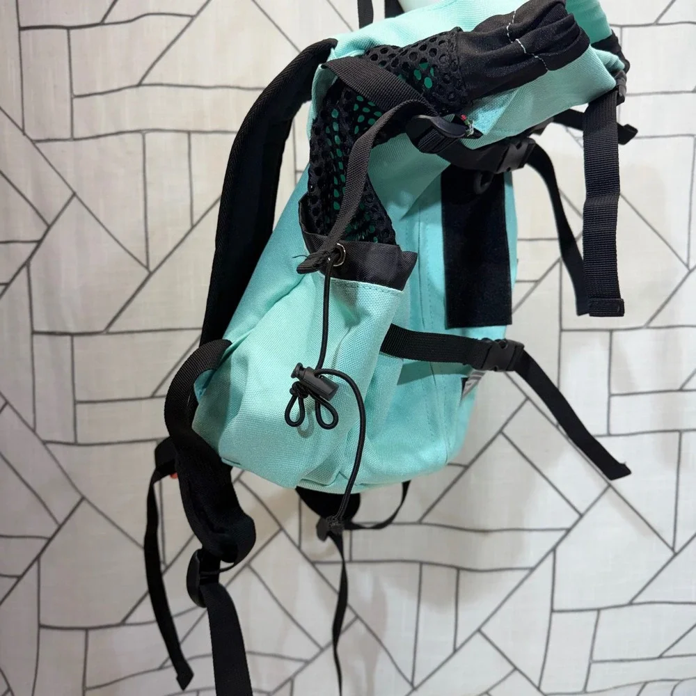 K9 Sport Sack Dog Carrier Backpack Small Mint Green Forward Facing Pet Carrier